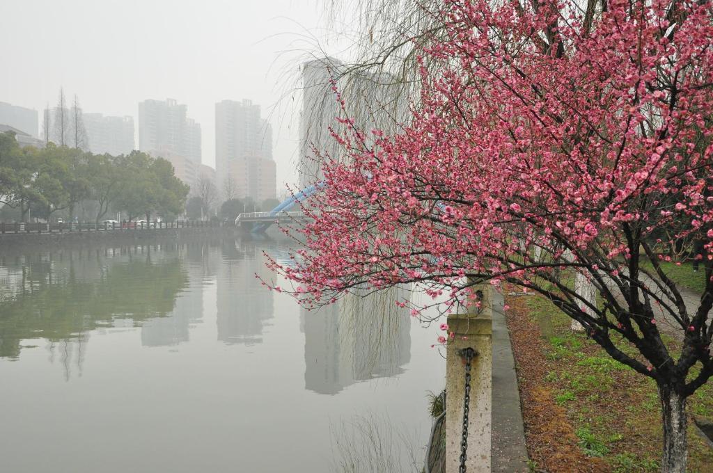 Zhejiang Xiangyuan Hotel Hangzhou Exterior photo